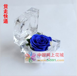 鲜花网-戒指盒保鲜花-蓝玫瑰