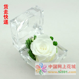 鲜花礼品-戒指盒保鲜花-白玫瑰